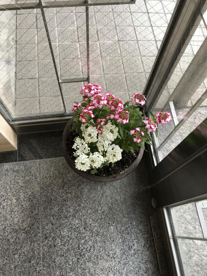Career Cooporation Hotell Osaka Exteriör bild